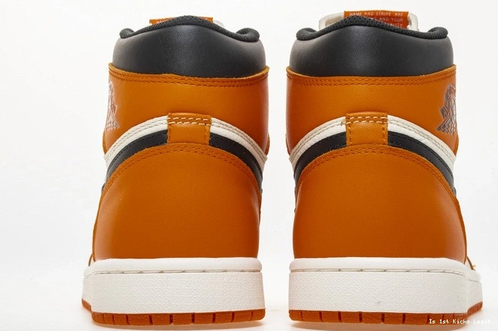 Shattered Reteo OG Jordan Air Reverse Backboard 555088-113 1 0109